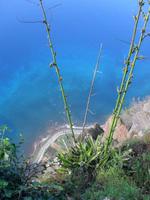 Europas  höchste Steilküste