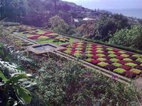 Botanischer Garten von Funchal