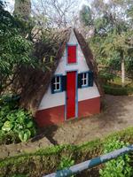 Botanischer Garten von Funchal