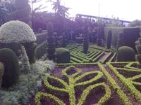 Botanischer Garten von Funchal