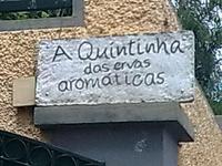 Zu Besuch im Kräutergarten