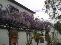 Zu Besuch im Kräutergarten