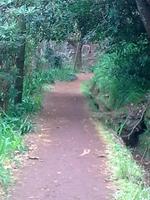 Wandern entlang der Levadas