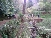 Wandern entlang der Levadas