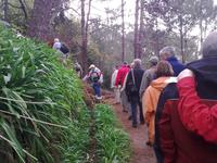 Wandern entlang der Levadas