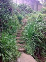 Wandern entlang der Levadas