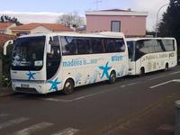 Unsere Reisebusse vor Ort