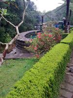 Die Forellenanlage in Ribeiro Frio