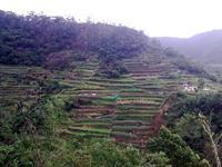 Sicht auf die Terrassenfelder