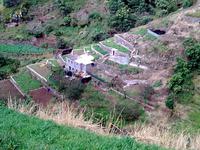 Sicht auf die Terrassenfelder