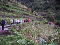 Wandern entlang der Levadas