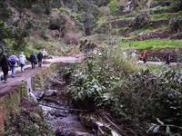 Wandern entlang der Levadas