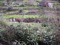 Wandern entlang der Levadas