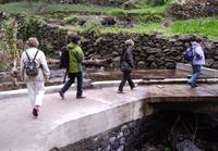 Wandern entlang der Levadas