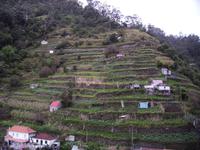 Sicht auf die Terrassenfelder