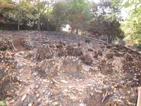 Garten der Familie Blandy