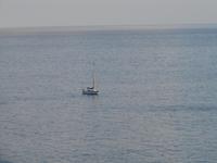 Degenfisch-Abendessen im Restaurant ?Atlantis?