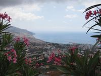 Blick auf Funchal