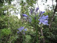 kleine Levadawanderun