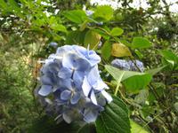 kleine Levadawanderun