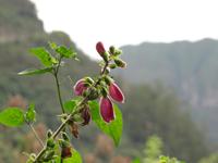 kleine Levadawanderun