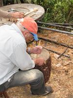 kleine Levadawanderun