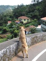 Aussichtspunkt Portela