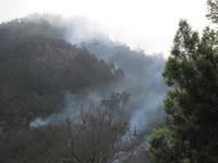 Überreste von Waldbrand an den Levadas