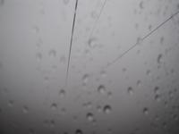 Gondelfahrt über Funchal