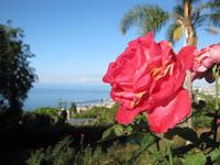 Botanischer Garten von Funchal