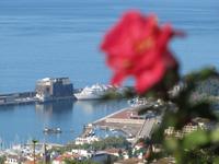 Botanischer Garten von Funchal