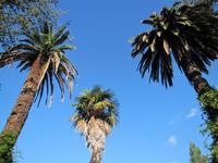 Botanischer Garten von Funchal