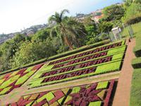 Botanischer Garten von Funchal