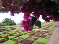 Botanischer Garten von Funchal