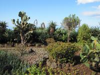 Botanischer Garten von Funchal
