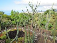 Botanischer Garten von Funchal