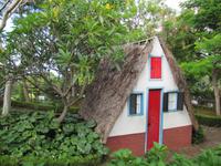 Botanischer Garten von Funchal