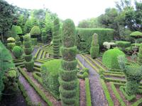 Botanischer Garten von Funchal