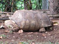 Botanischer Garten von Funchal