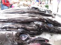 Fischmarkt in Funchal