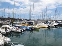 Hafen von Funchal