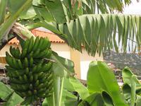 Weinkellerei Babeirtos