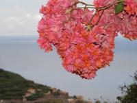 Weinkellerei Babeirtos