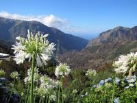 Encumeada-Pass und die Hochebene Paúl da Serra
