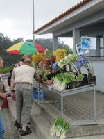 Pflanzenkenner unter sich