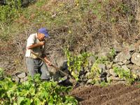 Bauer bei der Arbeit