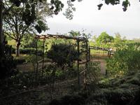 Zum Nachmachen für Zuhause