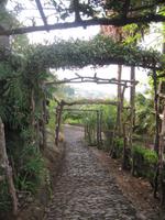 Im Botanischen Garten