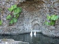 Schwänzchen in die Höh