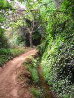 Levada-Wanderung durchs Paradiestal